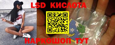 СК Бийск
