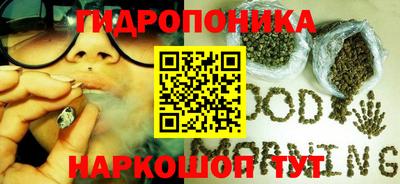 СК Бийск