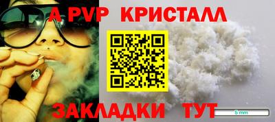 СК Бийск